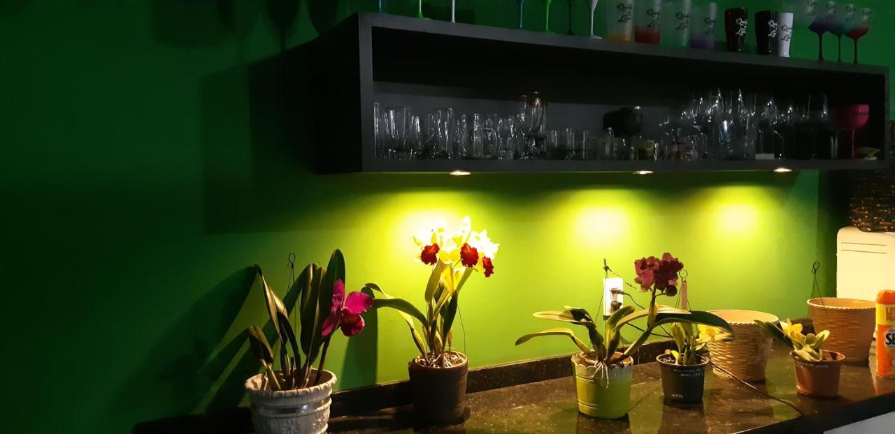 Quinta Do Lapa II Apartment Florianopolis Luaran gambar